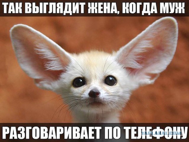 С выраженьем на лице...
