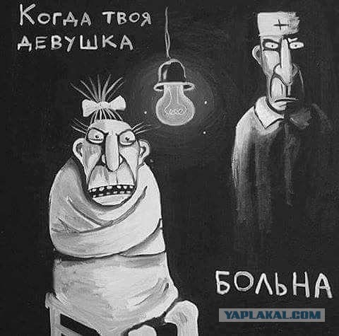 Порнозвезда Елена Беркова будет баллотироваться в президенты России