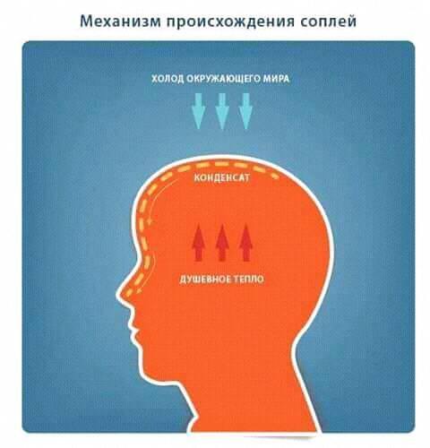 Картинки с подписями и без