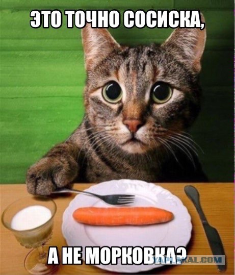Люди, которые смогли побороть лишние килограммы