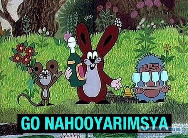 Почему бы не подеградировать, коллеги?