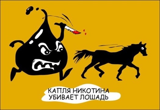 Собчак заявила, что пришло время перезахоронить Сталина.