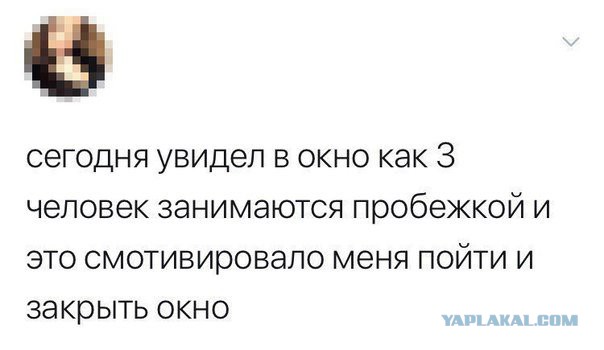 Смешные комментарии из социальных сетей 30.03.2018