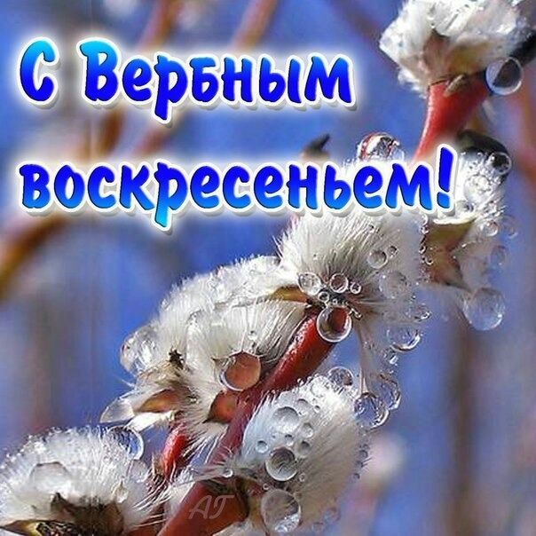 Итоги проверки пользователей