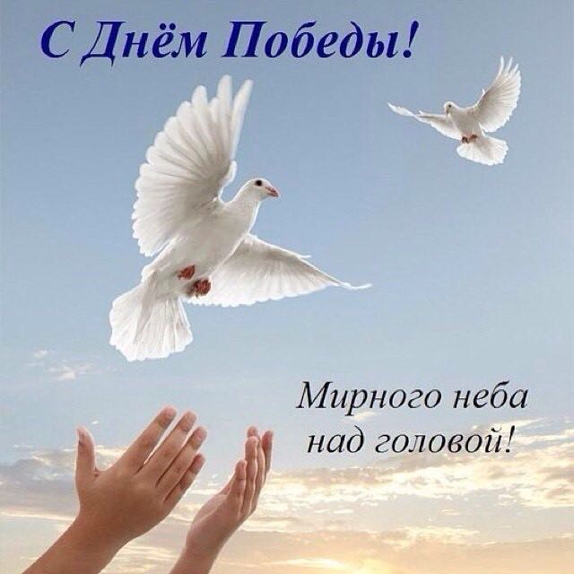 Диалоги о футболе, спорте, хобби.