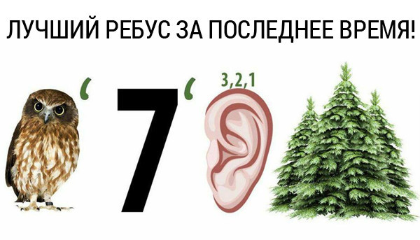 Чечня попросила почти двухмиллиардную компенсацию за неурожай
