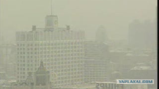 Управделами президента закупило сигареты на 19 млн руб