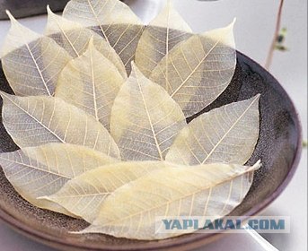 Угадайки