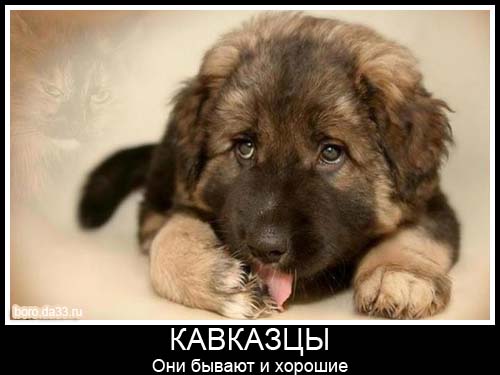 Один против толпы пьяных чеченцев