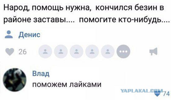 Подборка весёлых картинок