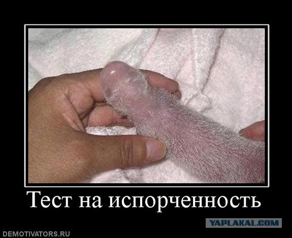 Угадайки
