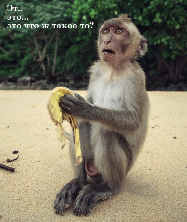 В этом мире ещё так много интересного