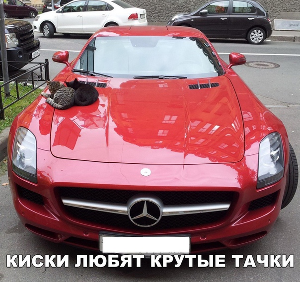 Прикольные картинки