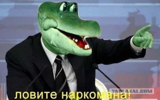Чу! Чей стон раздаётся? Ах да, это бабье стенает об наличии отсутствия "настоящих мущщин"