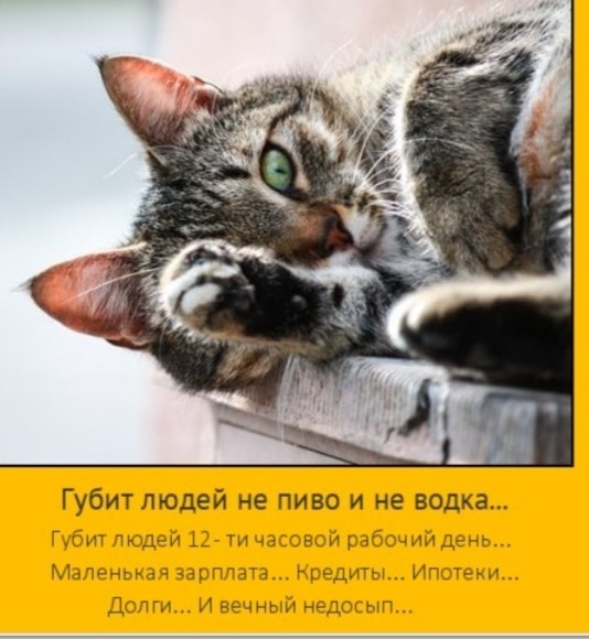 Минус 20 миллионов за 30 лет. В России прогнозируют резкое снижение населения.