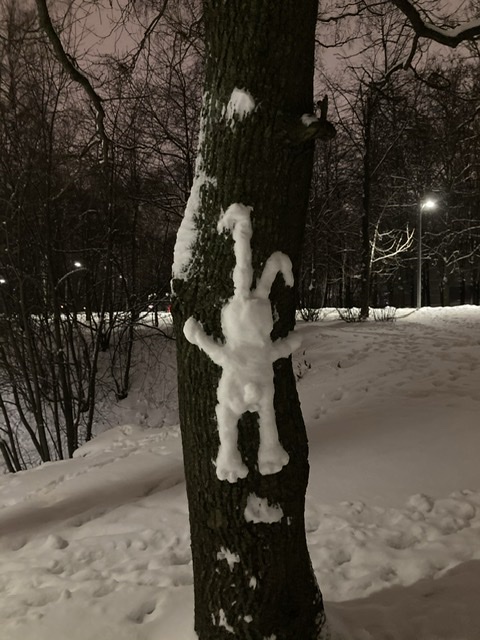 Бредзона 05.01.2021