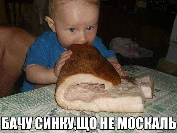 Стрим отряды Путина