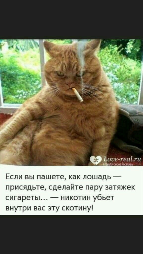 Бредзона 06.02.21