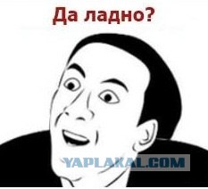 Любитель капусты