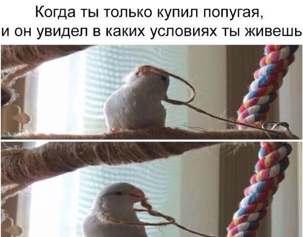 Картинки на вчера