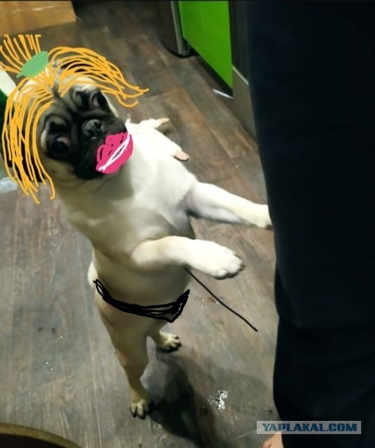 Кто что нарисовал за последние время