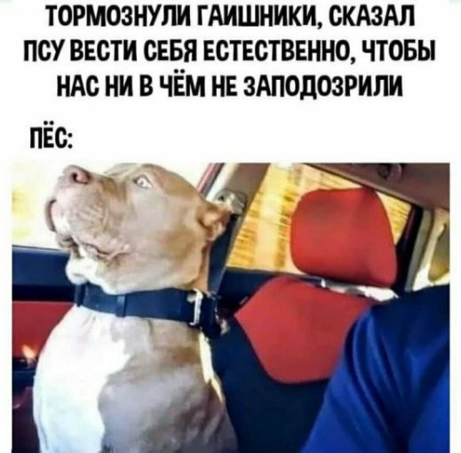 Картинки и мемы для настроения 05.10.2021