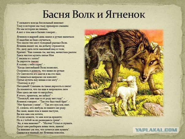 Любовь Соболь объявили в розыск