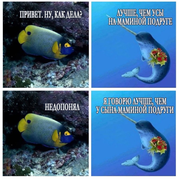 Картинки 31.10.21