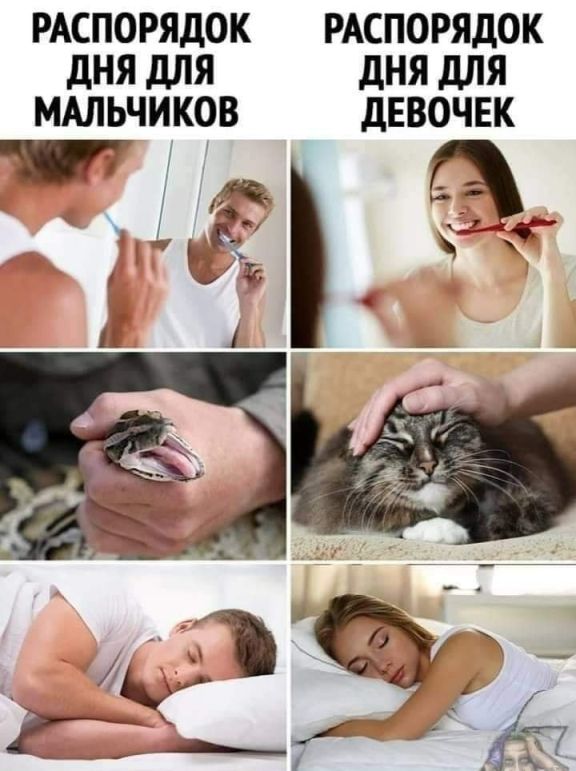 Картинки 07.11.21
