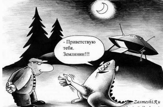 Всяческие картинки 20.12.2021