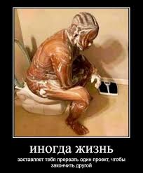 Новые похождения Данилы Багрова
