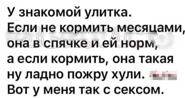 Весёлый полтишок 30.03.22