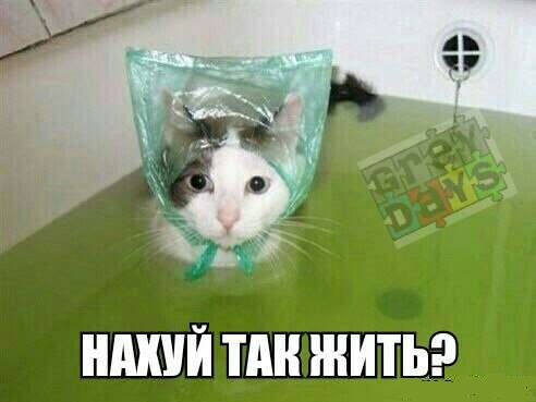 Вот это я понимаю - отдых на природе!