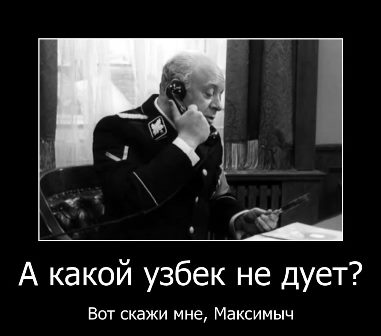 Певицу Наргиз Закирову задержали в аэропорту Домодедово. Ее не пустили в Россию из-за «проблем с документами» и американского гражданства.