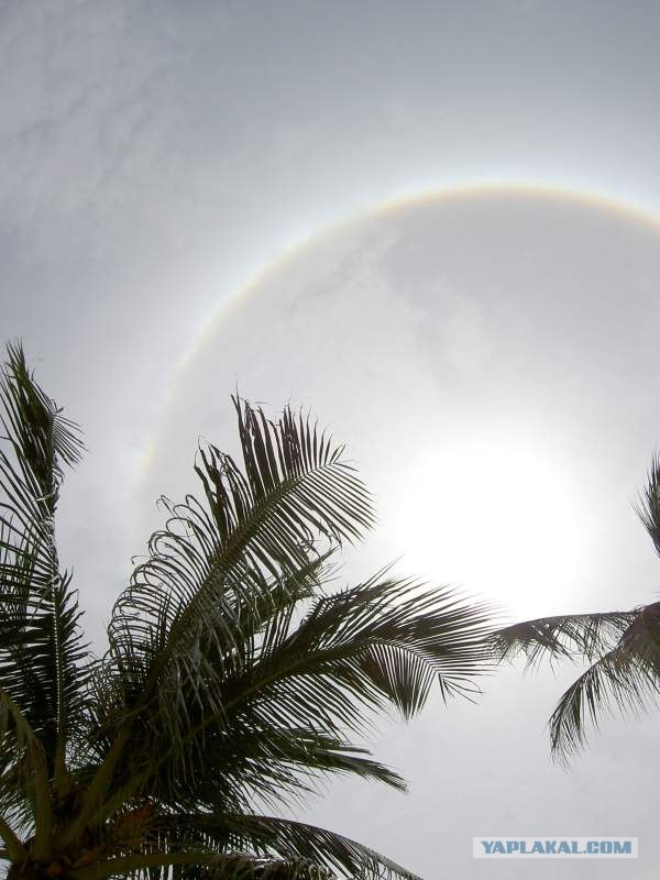 Такой разный остров Самуи