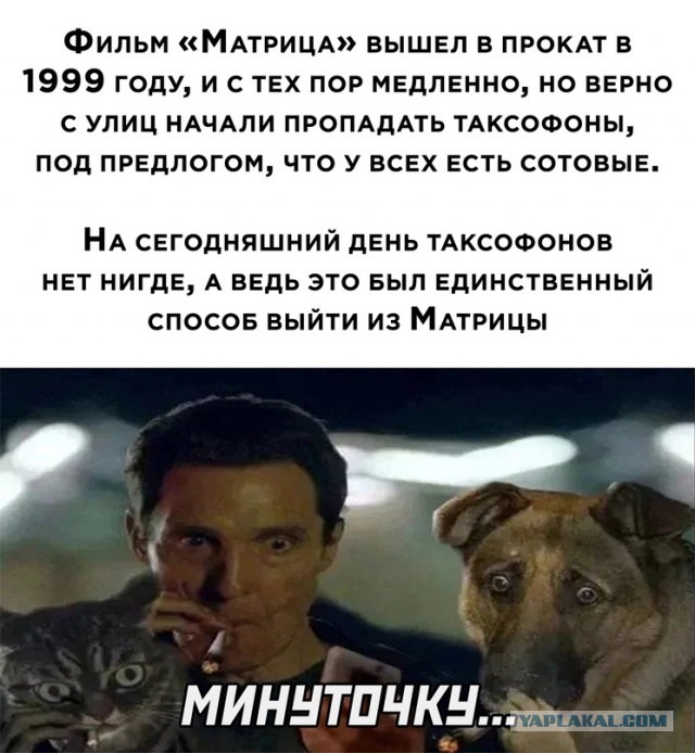 Немного картинок для настроения - 131