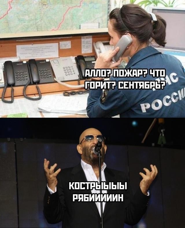 Стопэ ребята