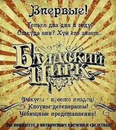 Комитет Госдумы по вопросам семьи, женщин и детей провел первое собрание Всероссийского союза «Социальный блогер»