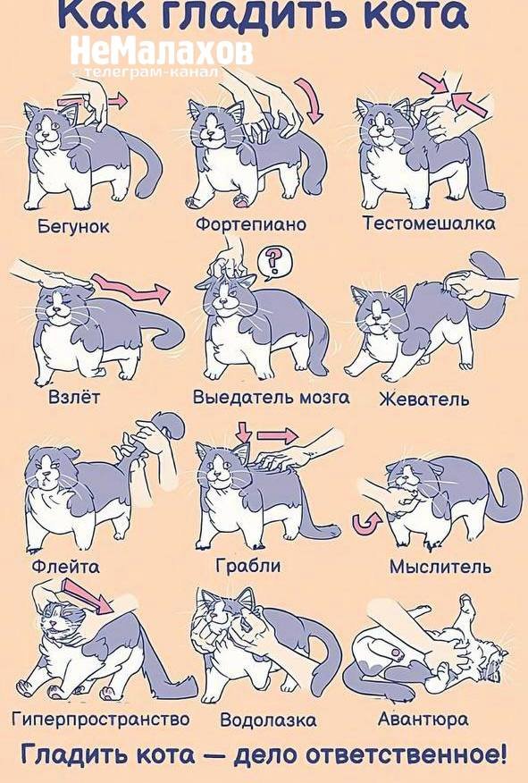 Картинки и мемы для настроения - 125