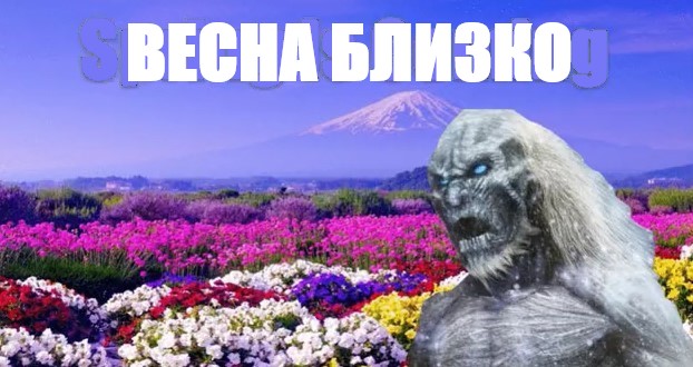 Середина зимы пройдена!