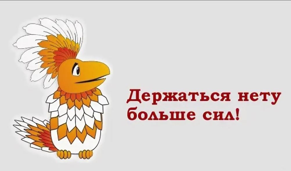 Птица говорун отличается умом и сообразительностью картинки