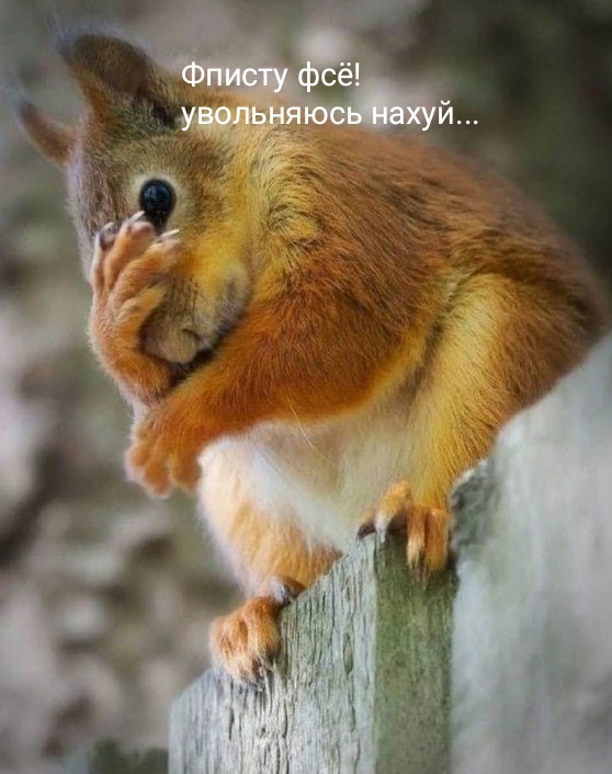Как бухать с бабой