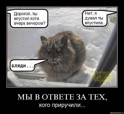 Так себе картинки 20.10.23