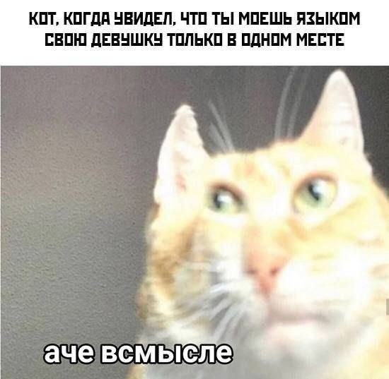 Пошло-тупые картинки для деградации
