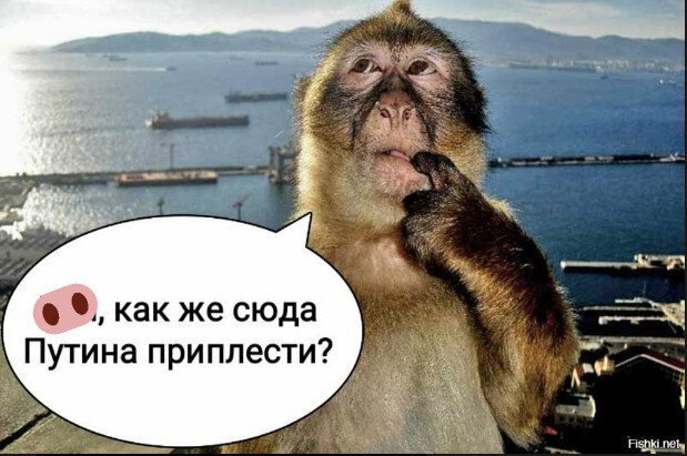 29 лет прошло