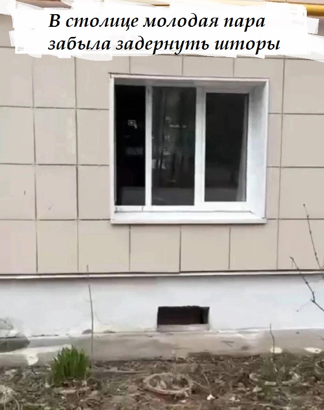 Весёлый полтишок 04.06.24