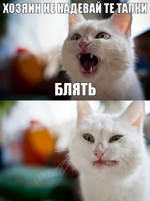 Как обещал - зимние баяны