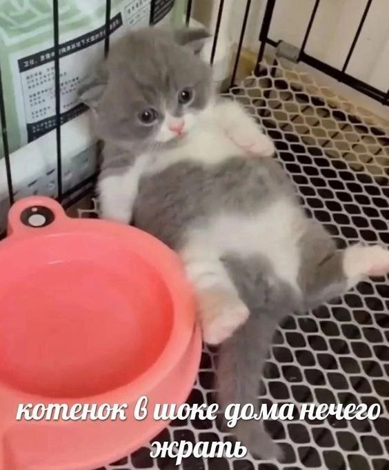 Всего понемногу. От 08.07