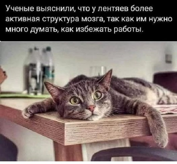 Картинки разные с надписями и без