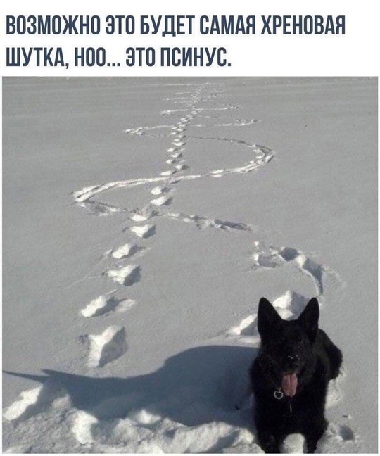 Так себе картинки 02.03.25